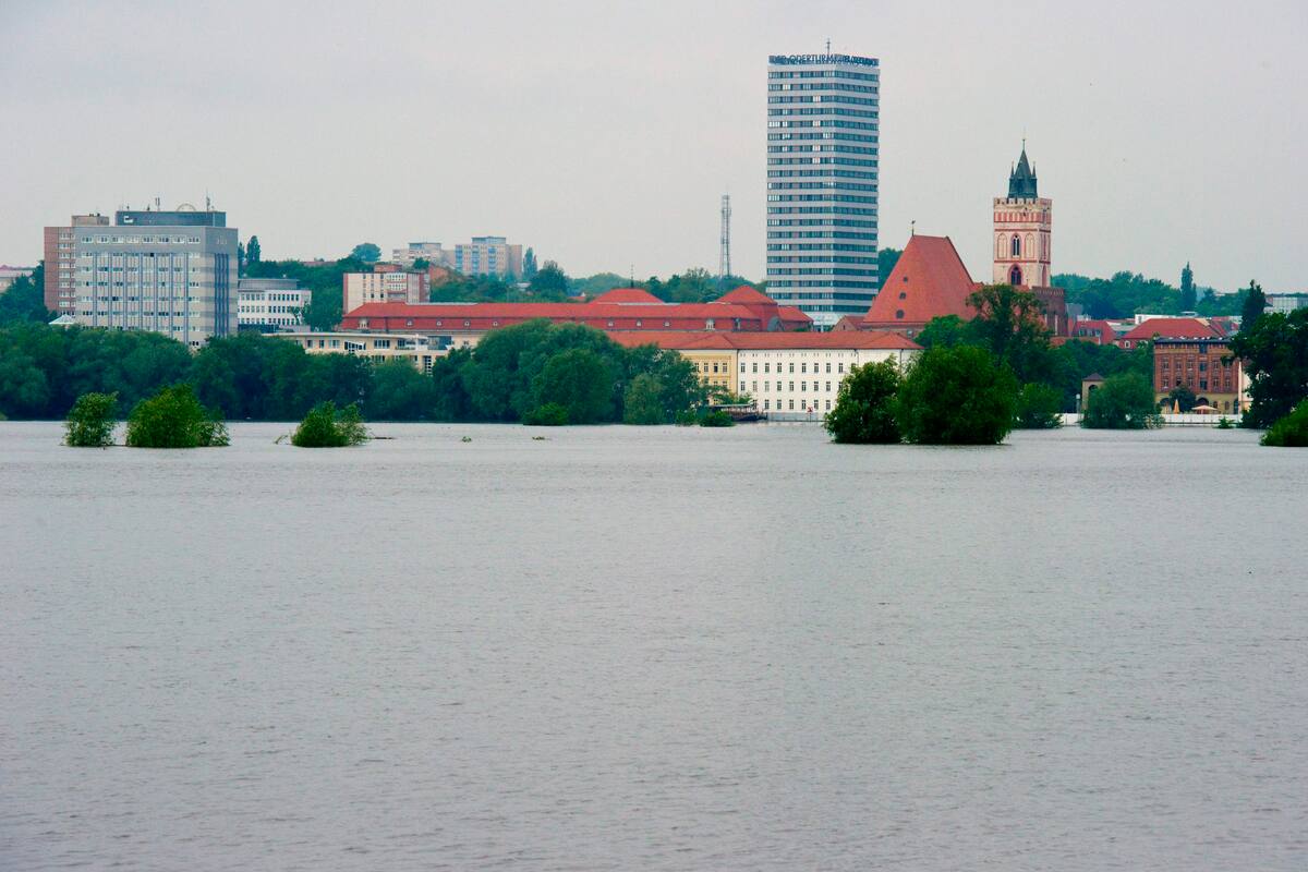 Encuentran toneladas de peces muertos en río fronterizo entre Alemania y Polinia