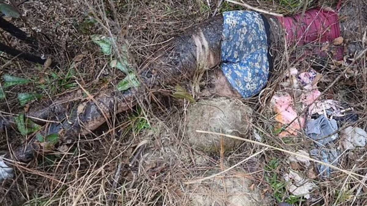 Los agentes encontraron una muñeca con medias blancas, shorts y top rosado. Foto: Especial (Captura de video YouTube/Daily Mail News)