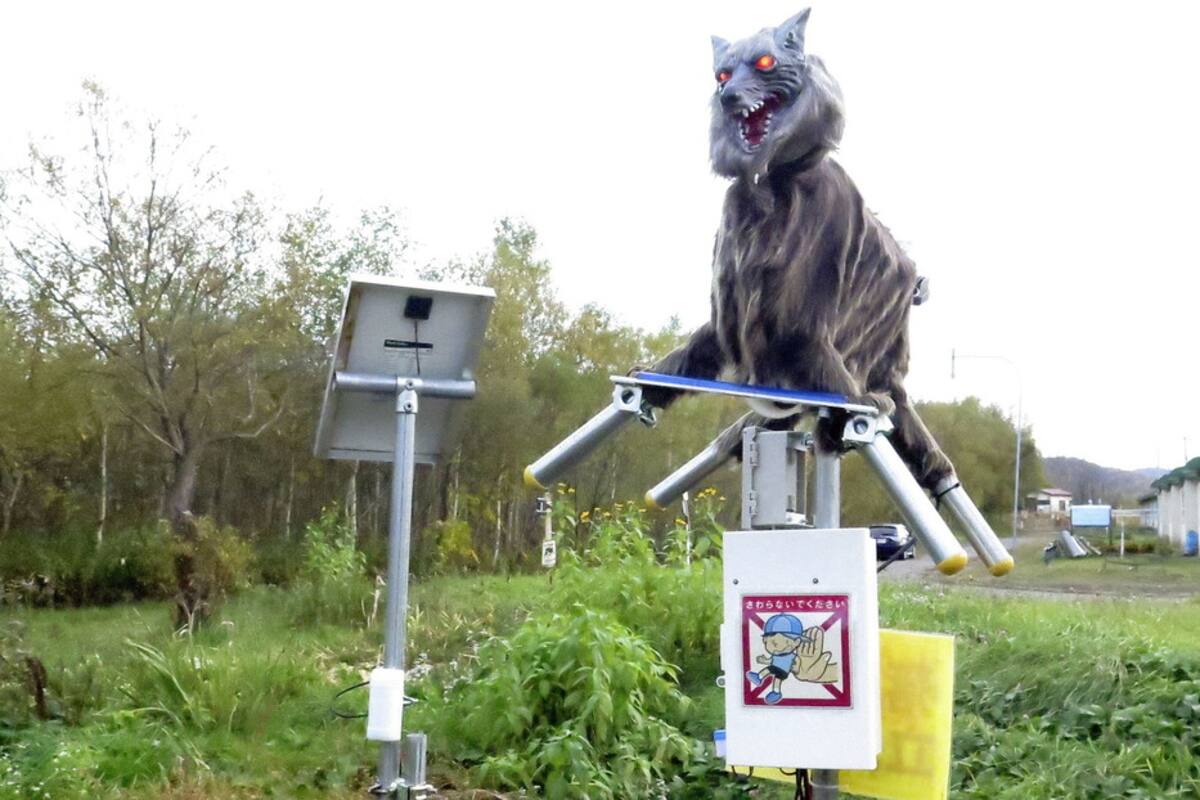 Aparecen en Japón monstruosos lobos robot para ahuyentar a los osos
