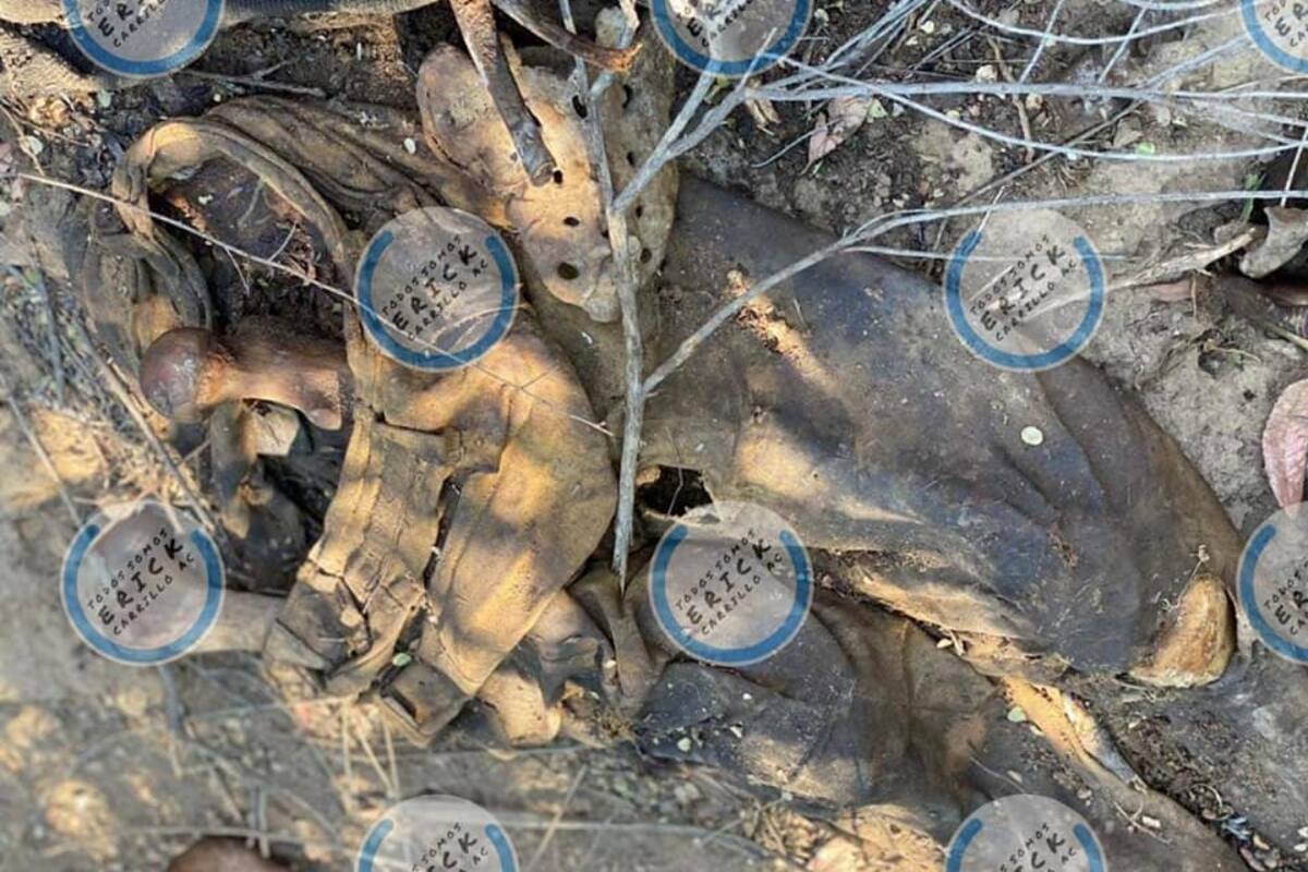 Encuentran cuerpo en Las Delicias