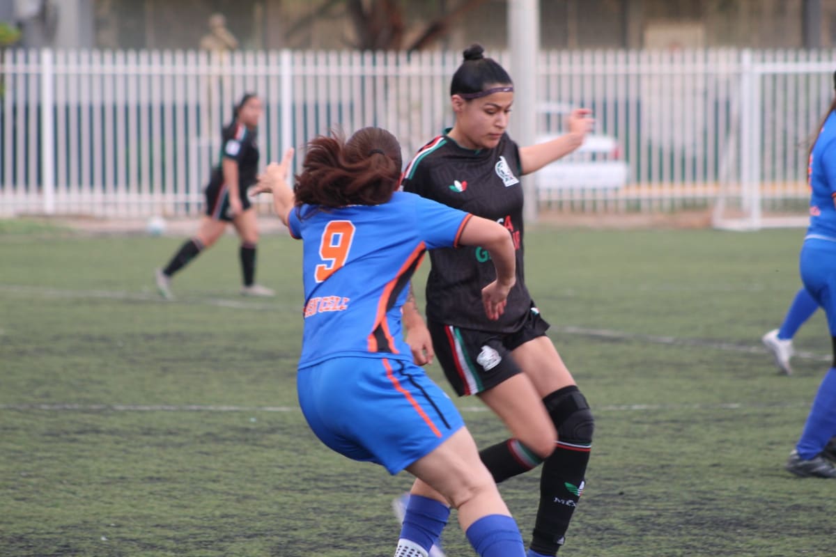 Scorpions e Imperio disputarán la final de la LUFF Femenil 2026-2