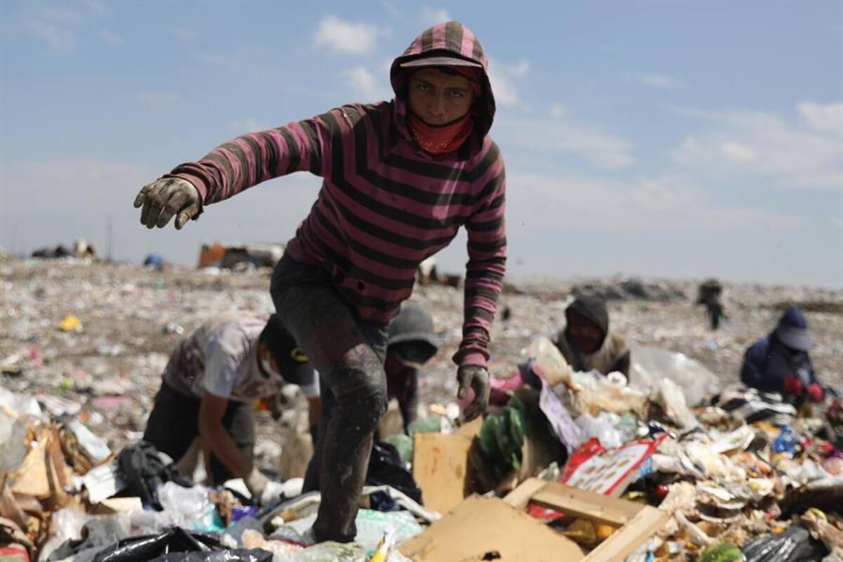 Sortear Covid-19 entre la basura, así es la vida de los recicladores durante la pandemia