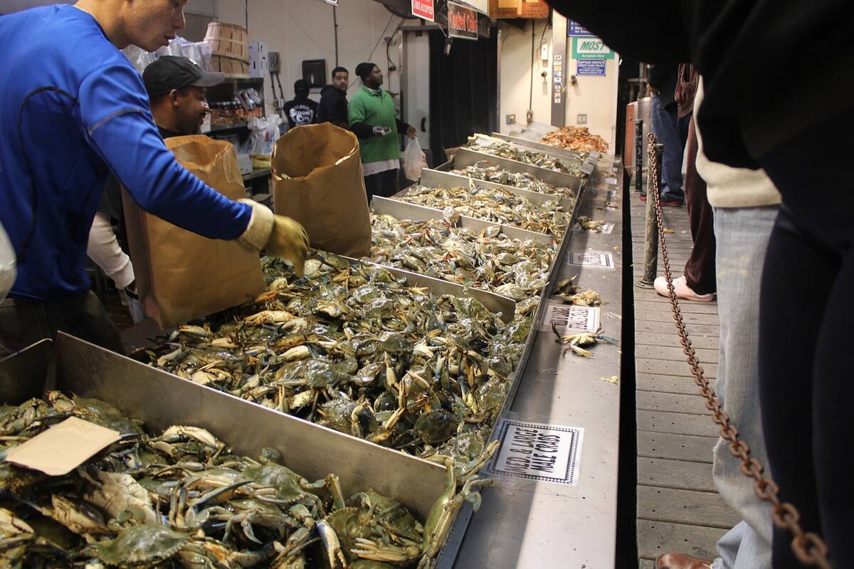 Segundo año consecutivo de cancelación de la temporada de cangrejo de nieve en Alaska