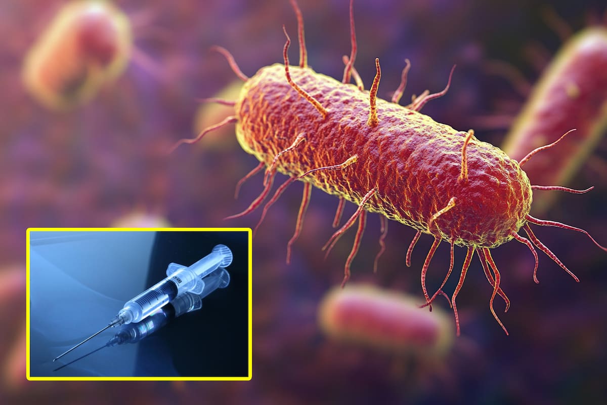 Vacuna contra la gonorrea pronto estará disponible en el Reino Unido: ¿Cómo funciona?