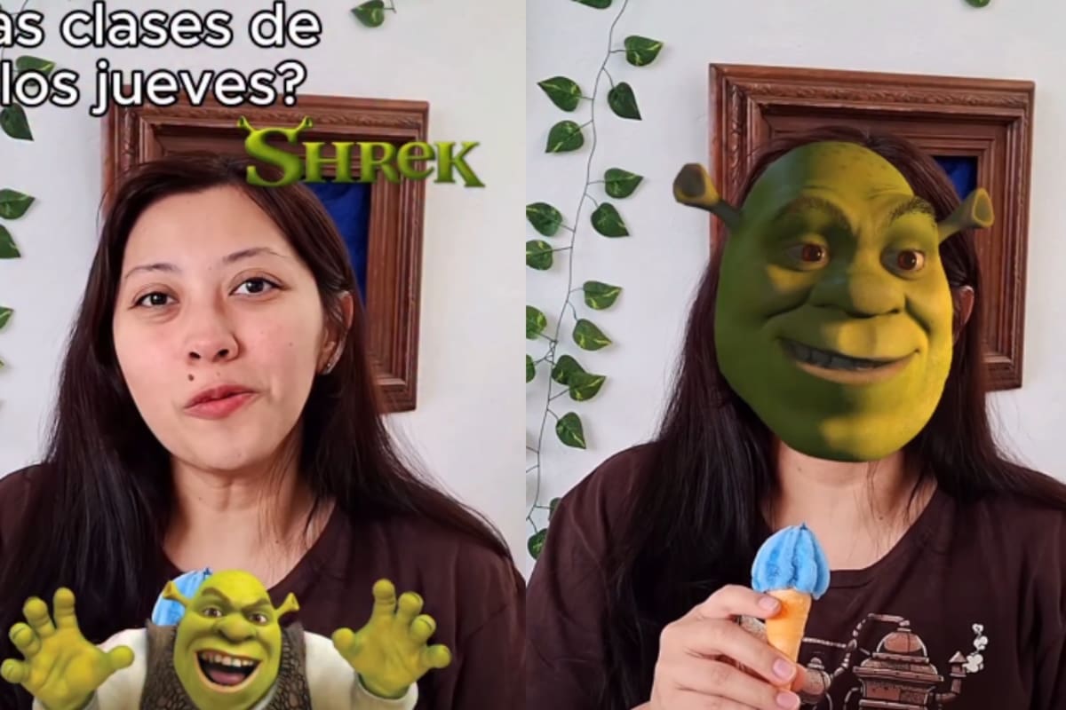 ¿Cuánto cobra Shrek por dar clases los jueves?: joven se vuelve tendencia por responder a esta incógnita con lógica y pruebas