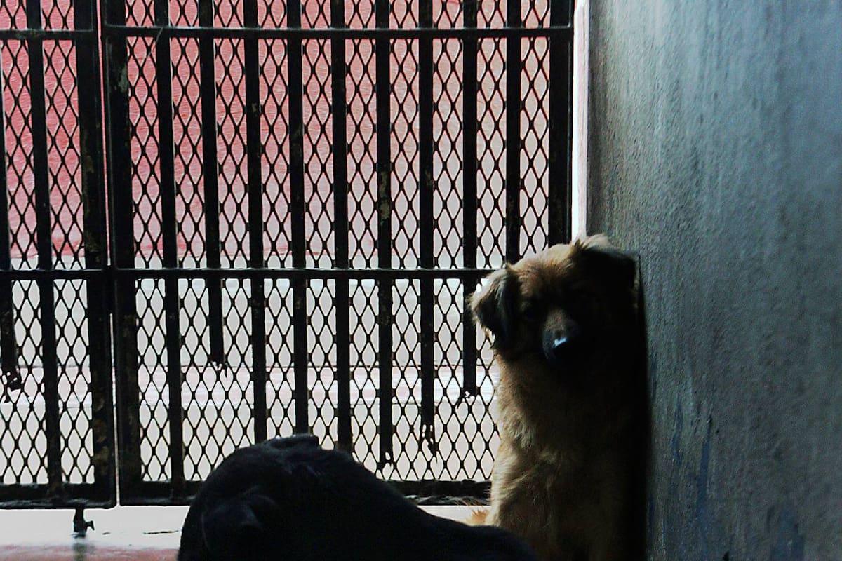 Pasará CACyF a Ecología y Medio Ambiente