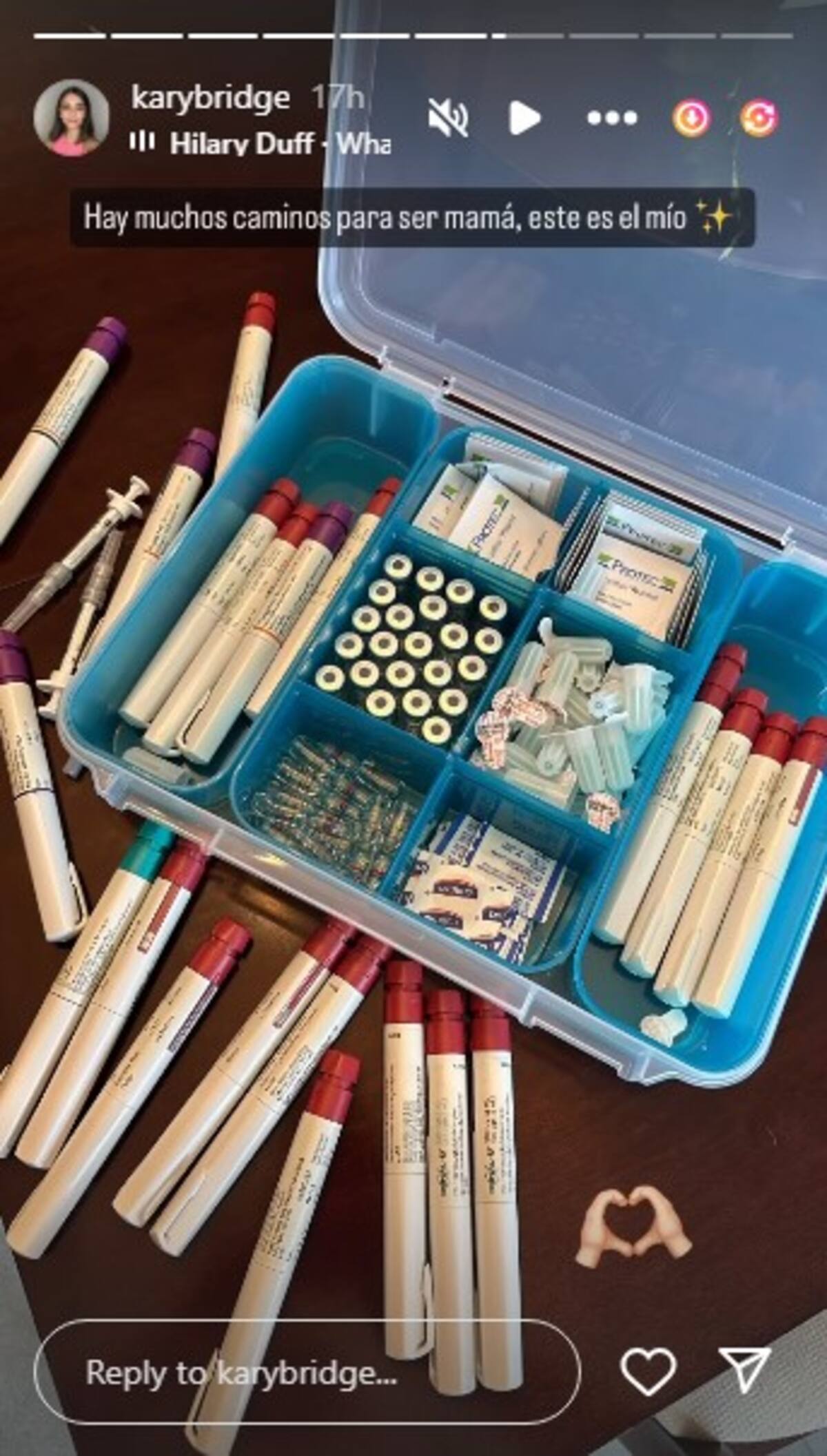 Esposa de Adrián Marcelo responde a Poncho de Nigris / Instagram: @karybridge