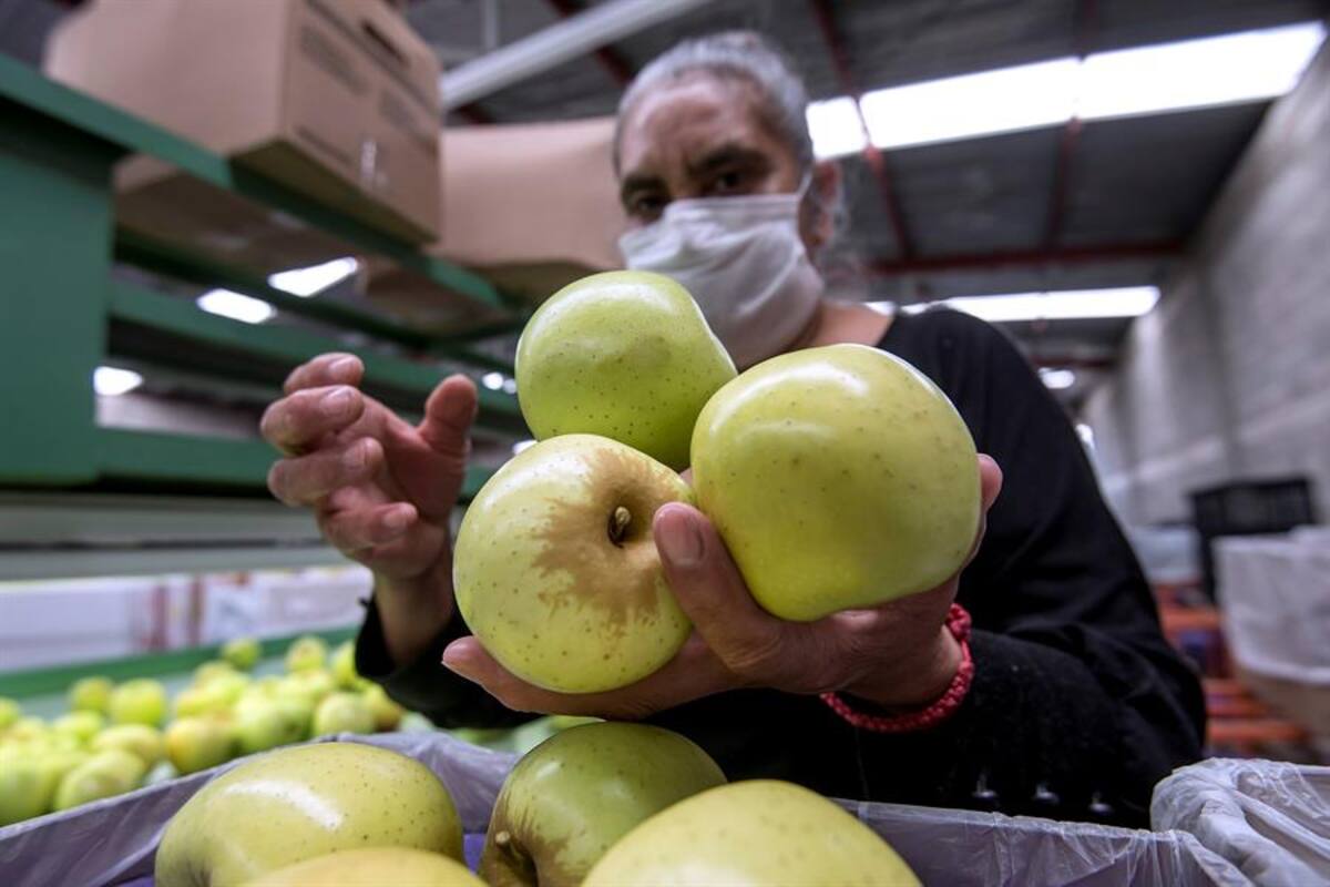 PIB de México habría crecido un 12% en el tercer trimestre