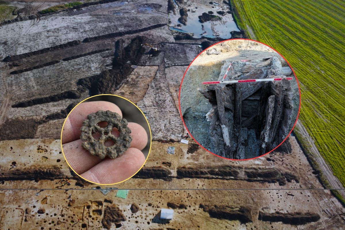 La construcción de una autopista reveló un asentamiento celta de más de 2 mil años, con monedas de oro, joyas y conexión directa con la Ruta del Ámbar en Europa antigua