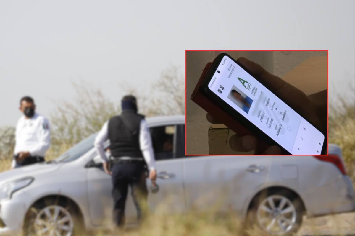 Licencia de conducir digital: ¿Cómo descargarla para traerla en el celular y prevenir multas?