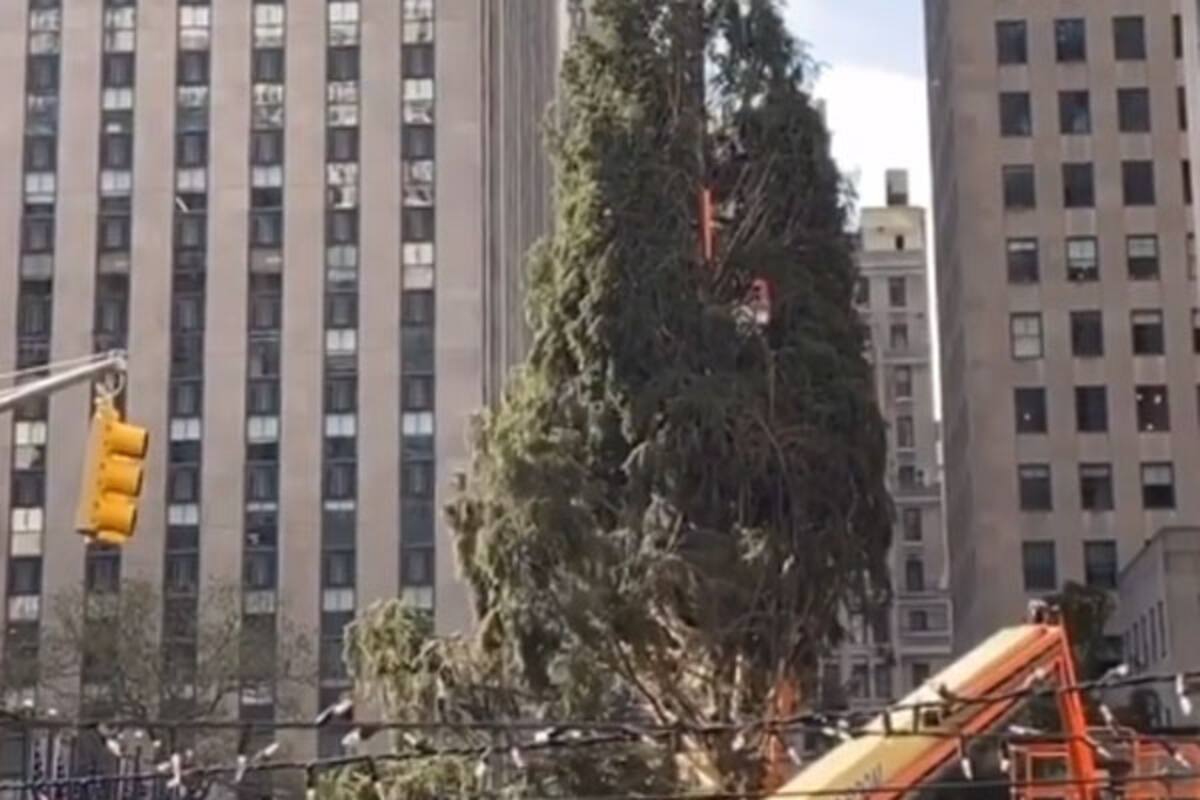Reciben en NY al famoso árbol del Rokefeller Center