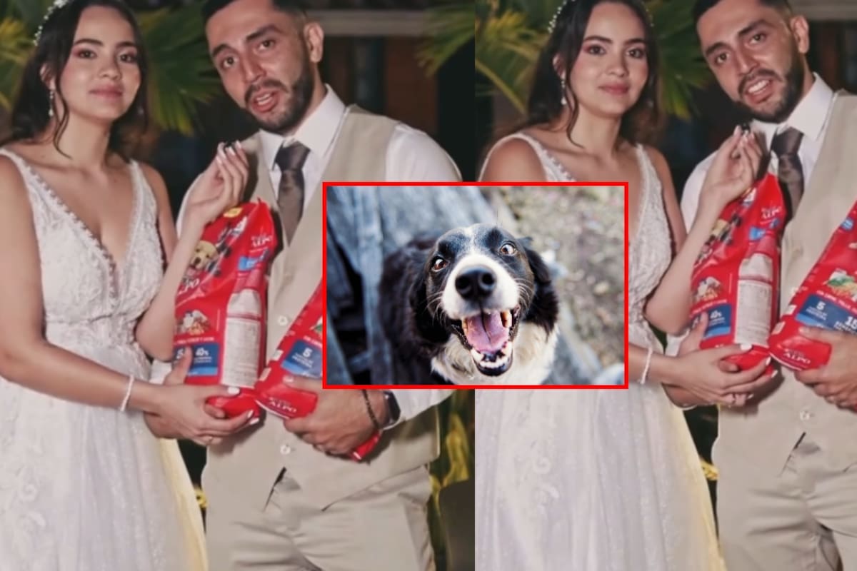 Pareja se vuelve viral al pedir croquetas para perritos en lugar de regalos y donarlas a una fundación