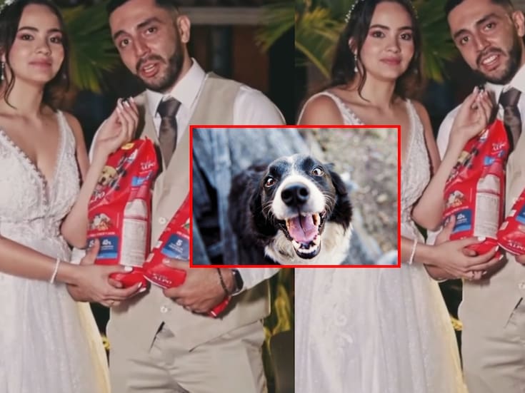 Pareja se vuelve viral al pedir croquetas para perritos en lugar de regalos y donarlas a una fundación