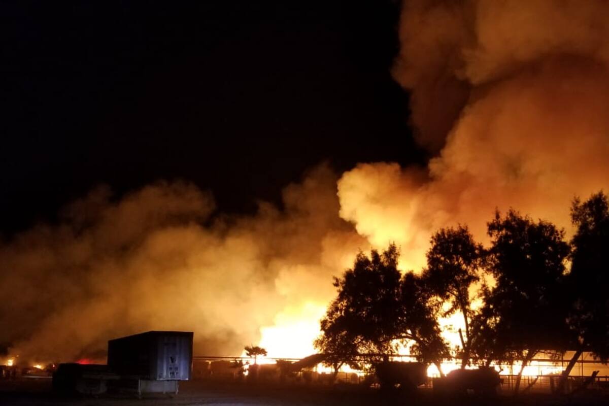 Arden 10 mil pacas en rancho al sur de Mexicali