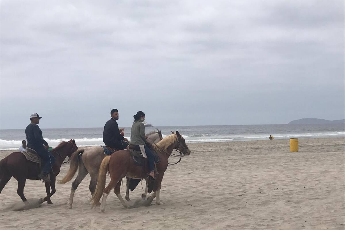 Regresan los caballos a las playas de Rosarito