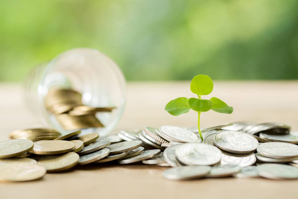 ¿Qué son los créditos verdes y por qué están teniendo cada vez más repercusión?