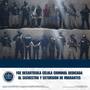 Desmantelan banda de secuestradores de migrantes