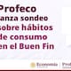 ¿Qué es lo más buscado entre los mexicanos en el Buen Fin? Profeco investiga cómo compramos: ropa, tecnología y despensa encabezan el consumo