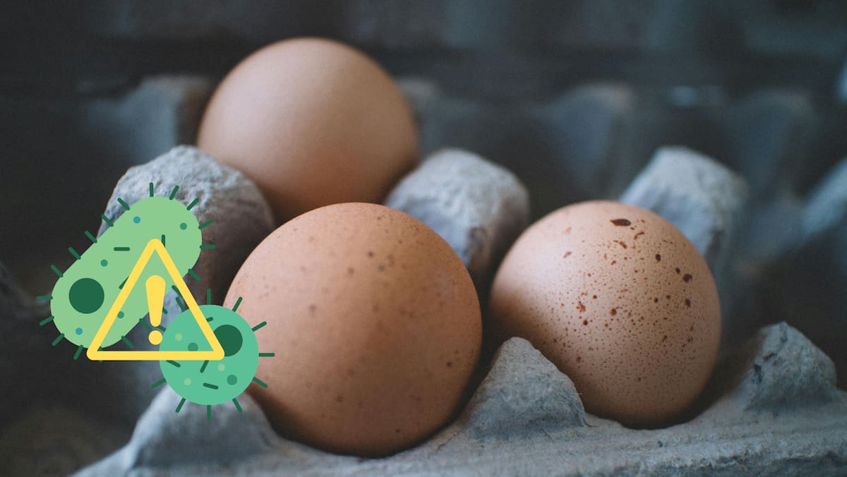 Retiro de huevos por riesgo de salmonela en varias marcas distribuidas en Canadá. Foto: Pexel