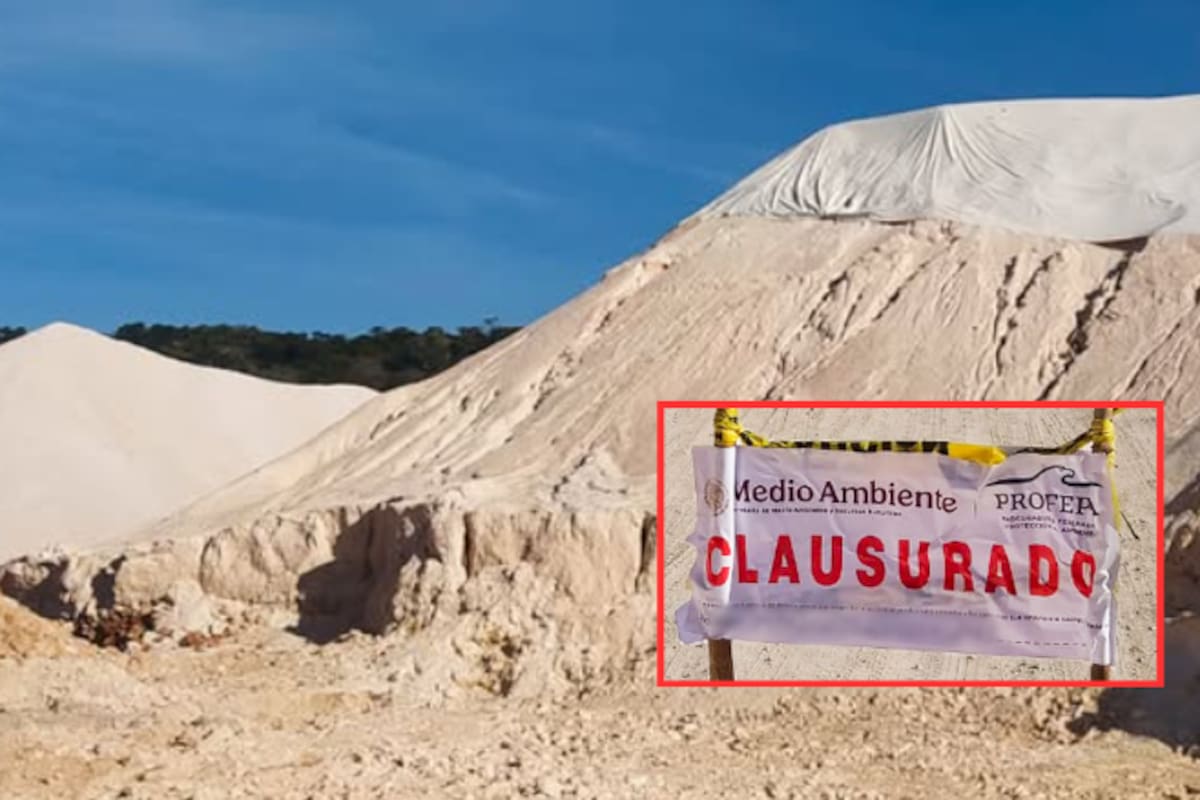 Profepa clausura banco de extracción ilegal en Campeche: maquinaria asegurada y daños en 8.6 hectáreas de selva