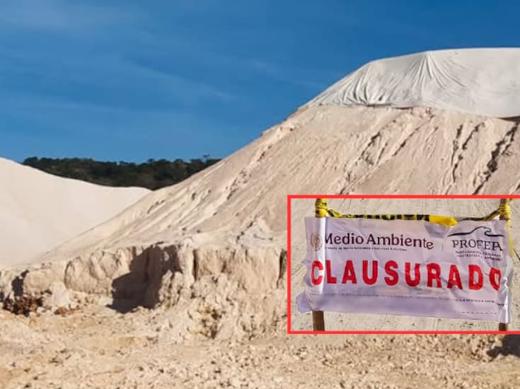 Profepa clausura banco de extracción ilegal en Campeche: maquinaria asegurada y daños en 8.6 hectáreas de selva