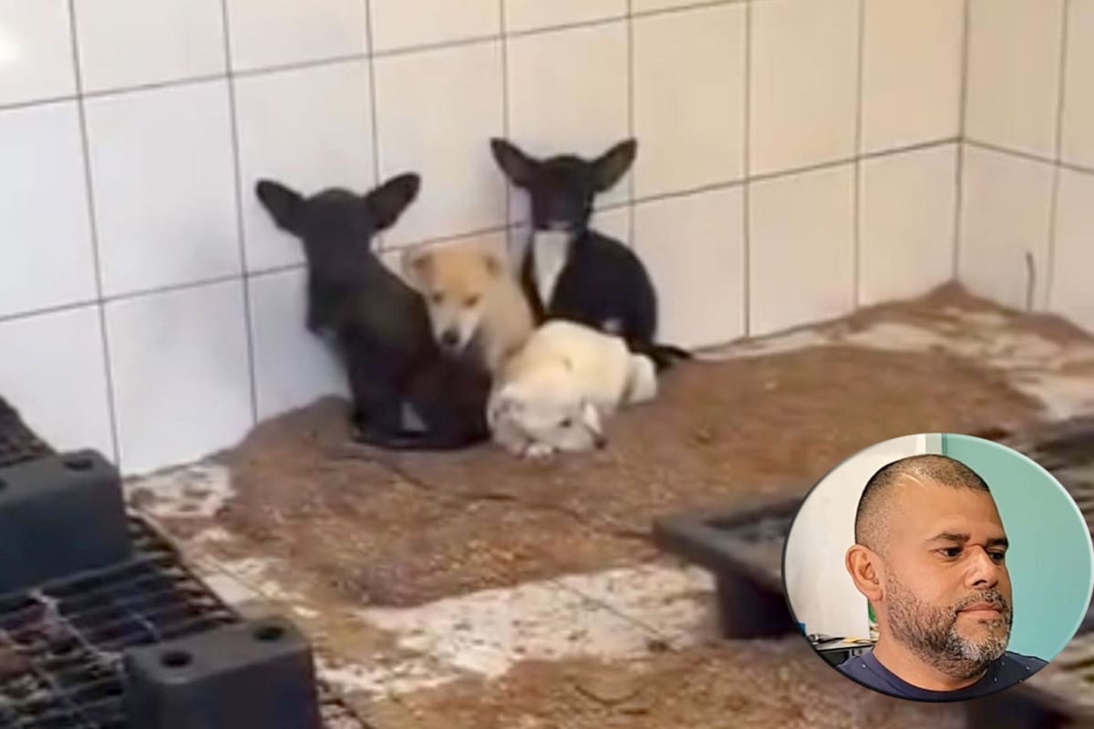 Denuncia despido injustificado ex funcionario de Rosarito