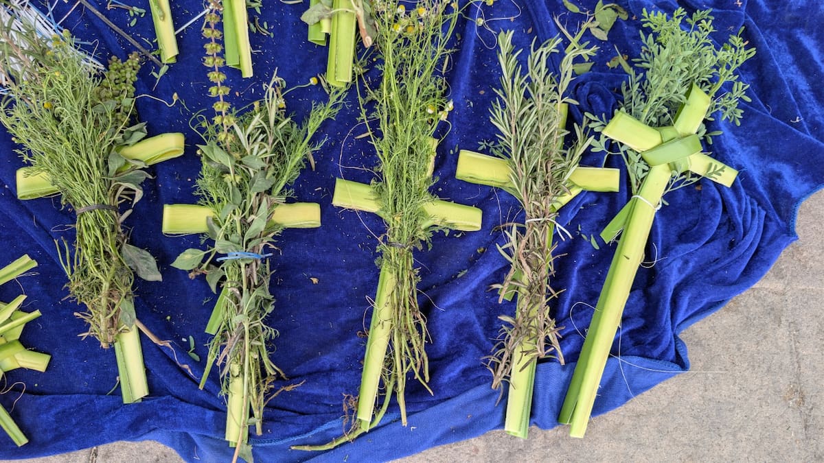Domingo de Ramos: qué significa, qué se celebra y por qué marca el inicio de la Semana Santa