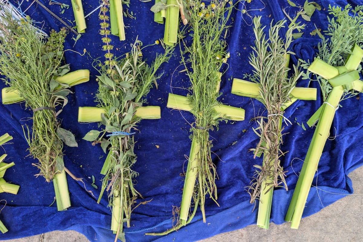 Domingo de Ramos: qué significa, qué se celebra y por qué marca el inicio de la Semana Santa