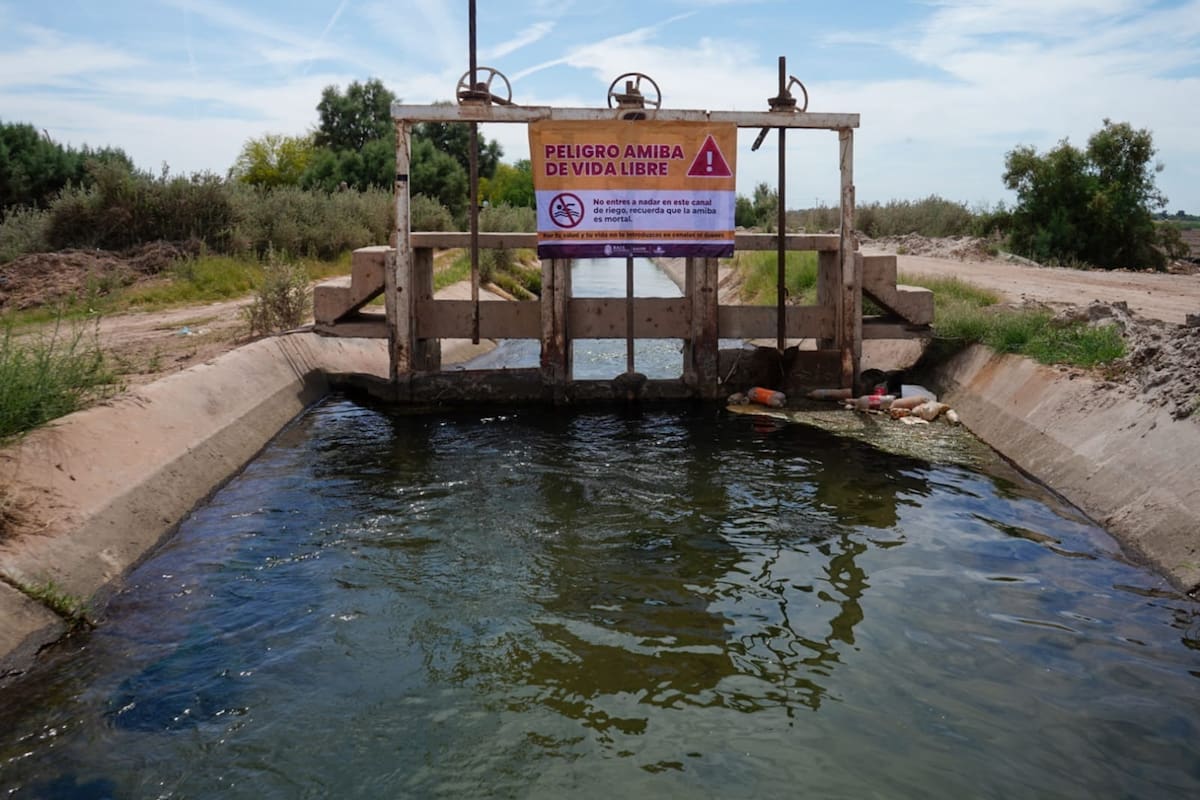 Alertan por amiba “come cerebros” en canales y pozos de Mexicali ante llegada del calor