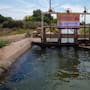 Alertan por amiba “come cerebros” en canales y pozos de Mexicali ante llegada del calor