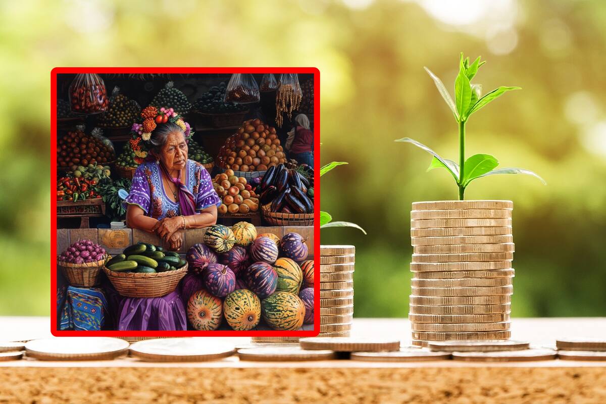 Préstamos en Fonacot: Conoce el Crédito Mujer Efectivo ¿Cómo son los pagos por 10 mil pesos?