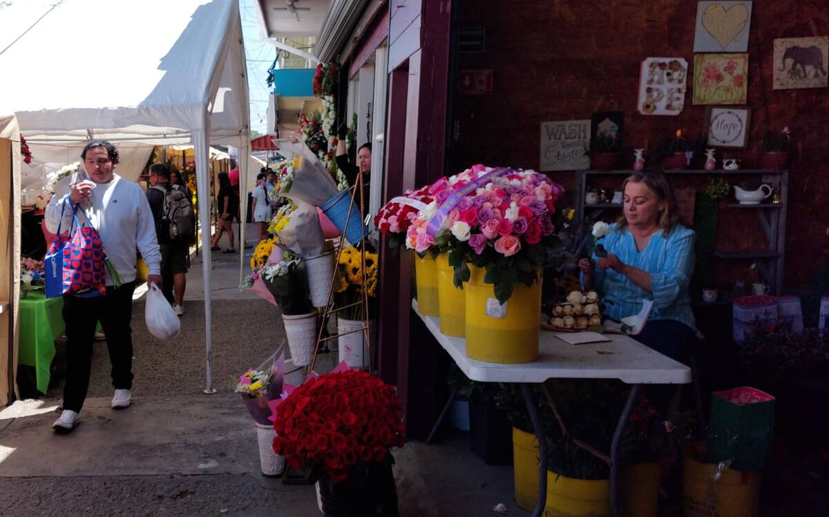 Desde temprana hora comerciantes del lugar instalaron carpas para mostrar los arreglos florales a la venta.