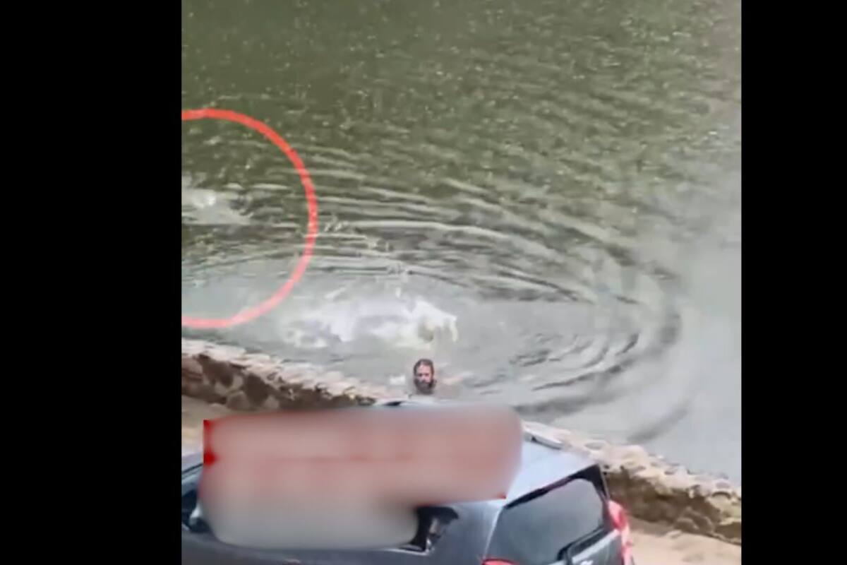VIDEO: Hombre se mete a nadar con cocodrilos hambrientos en Laguna de las Ilusiones, México