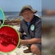 Aunque Royal Caribbean defendió su estudio de impacto ambiental para Perfect Day, el nacimiento de tortugas en Mahahual y los 17 nidos en Playa Chacchí se convirtieron en la prueba científica que demuestra la falsa documentación de la empresa