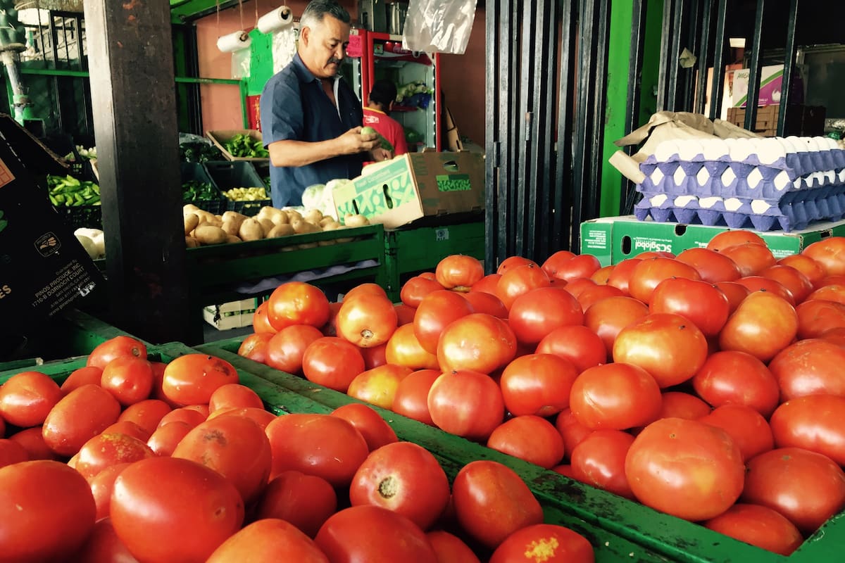 Hortalizas a precios históricos: cambios en el clima y poca producción mantienen los costos altos, dicen productores de Sonora