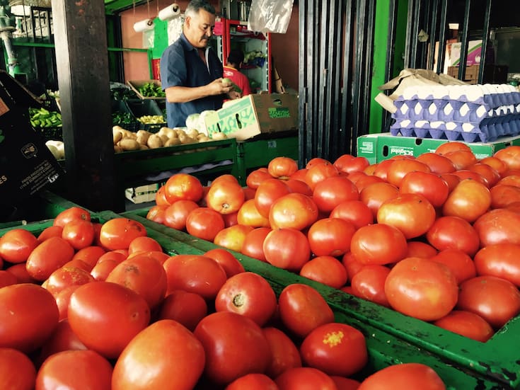 Hortalizas a precios históricos: cambios en el clima y poca producción mantienen los costos altos, dicen productores de Sonora