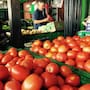 Sube hasta 50% precio del tomate de exportación de Sonora