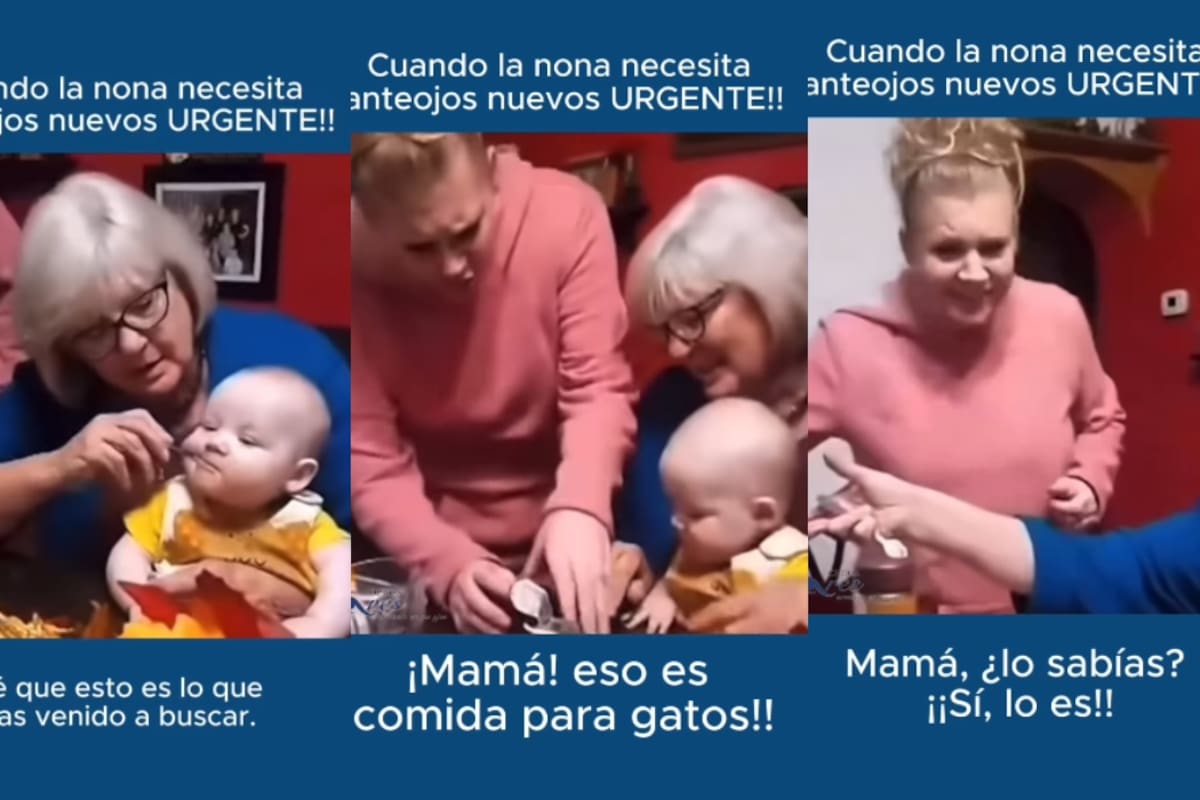 ¡Mamá, eso es comida de gatos!”: abuela se confunde de etiqueta y le da comida húmeda para gato a su nieto