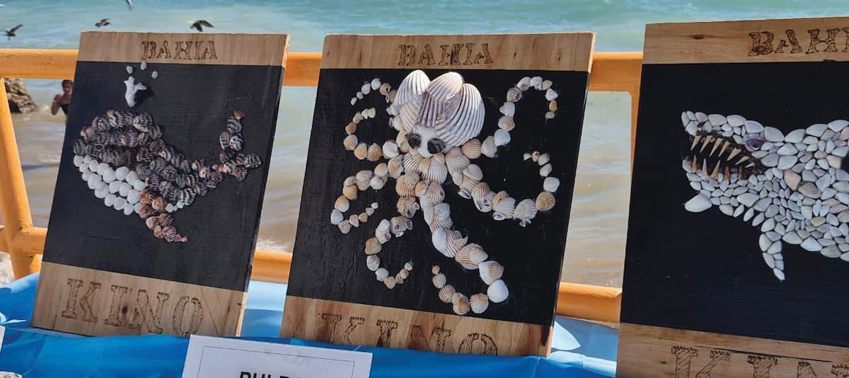 Cada cuadro tiene el nombre científico de la especie y también el que le dan los pescadores.