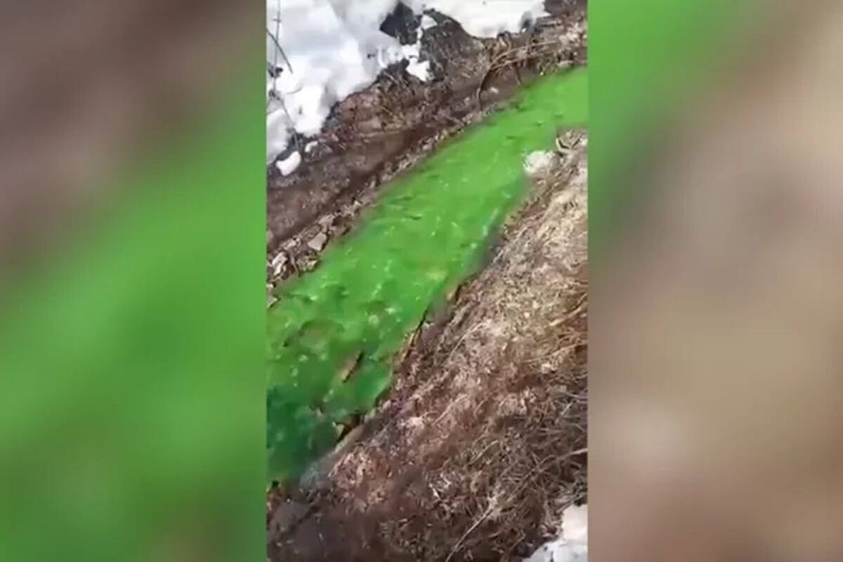 Reportan río que cambió de color a verde brillante en Rusia