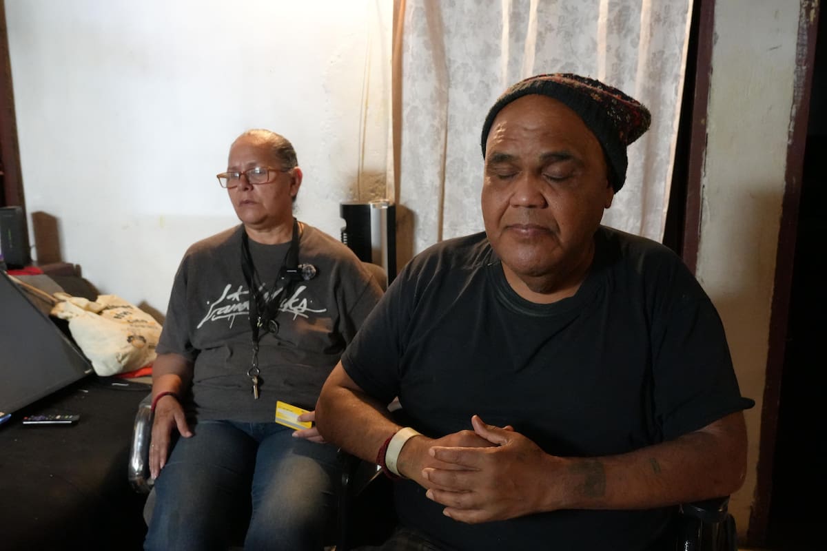 Después de ser atropellado, ‘Shrek’ ya está en su casa