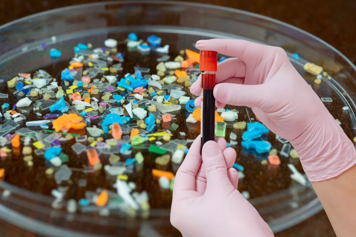 Investigadores del IPN encuentran microplásticos en muestras de sangre y orina de habitantes de Oaxaca y advierten que estas partículas pueden transportar otros contaminantes presentes en el ambiente