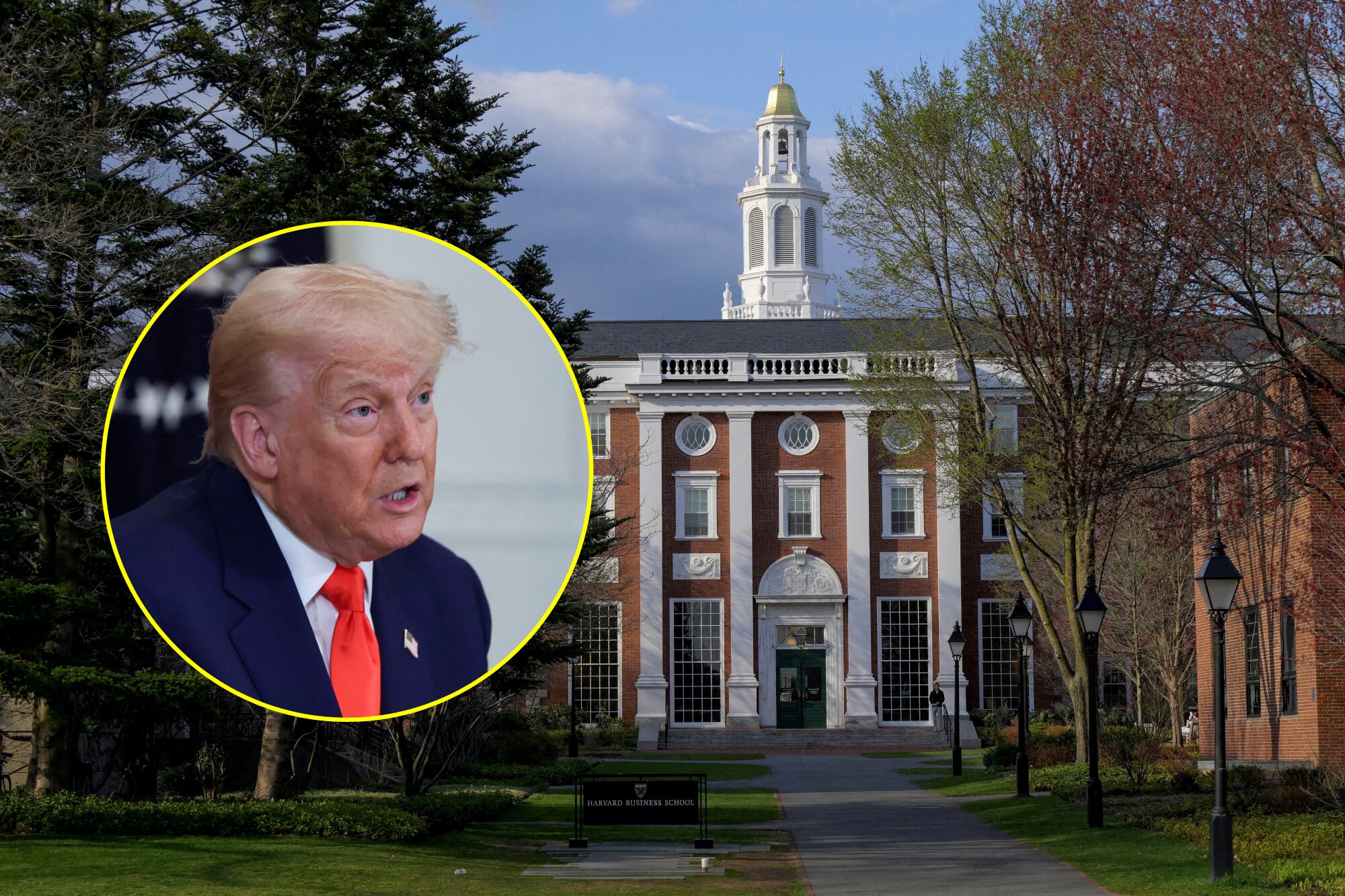 Trump revocó el permiso de Harvard para aceptar estudiantes extranjeros, poniendo en riesgo los estudios de la princesa Elisabeth de Bélgica.