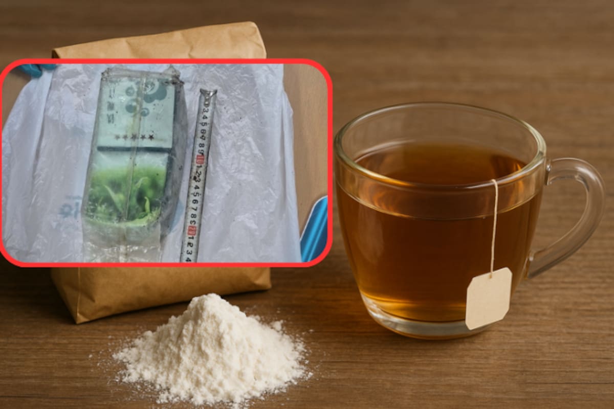 Droga camuflada en paquetes de té: 36 kilos hallados suficientes para 1,2 millones de dosis