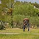 San Luis Río Colorado suma 35 casos por calor extremo