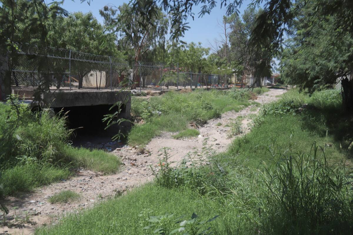 Maleza es el escondite de los delincuentes en Jerez del Valle