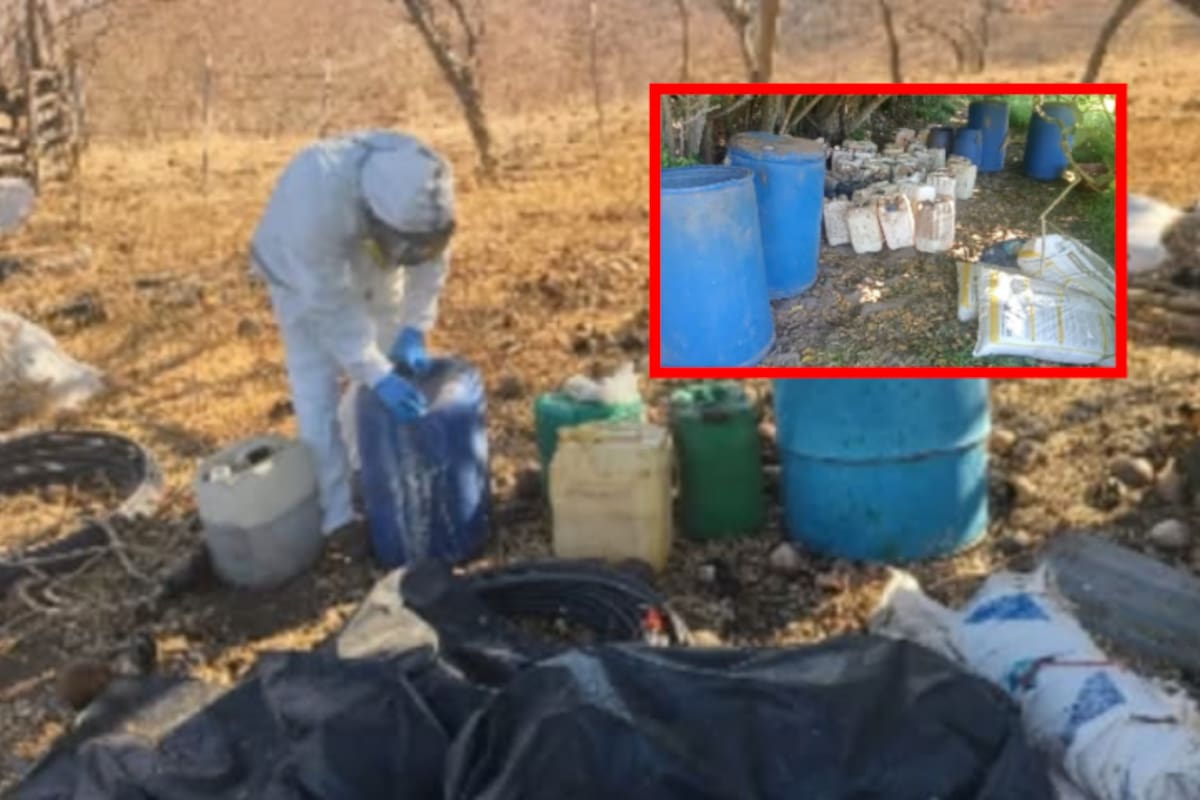 Desmantelan cinco centros de químicos para drogas sintéticas en Culiacán, Elota y Cosalá