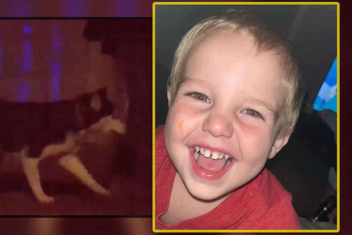 Niño de 2 años muere en brutal ataque de perros en Alabama