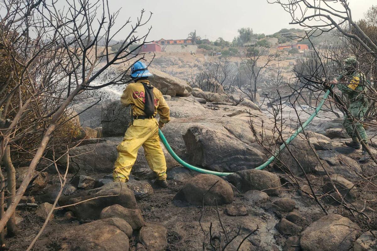 Incendios en Tecate: Tras 24 horas controlan siniestro de Cerro Azul