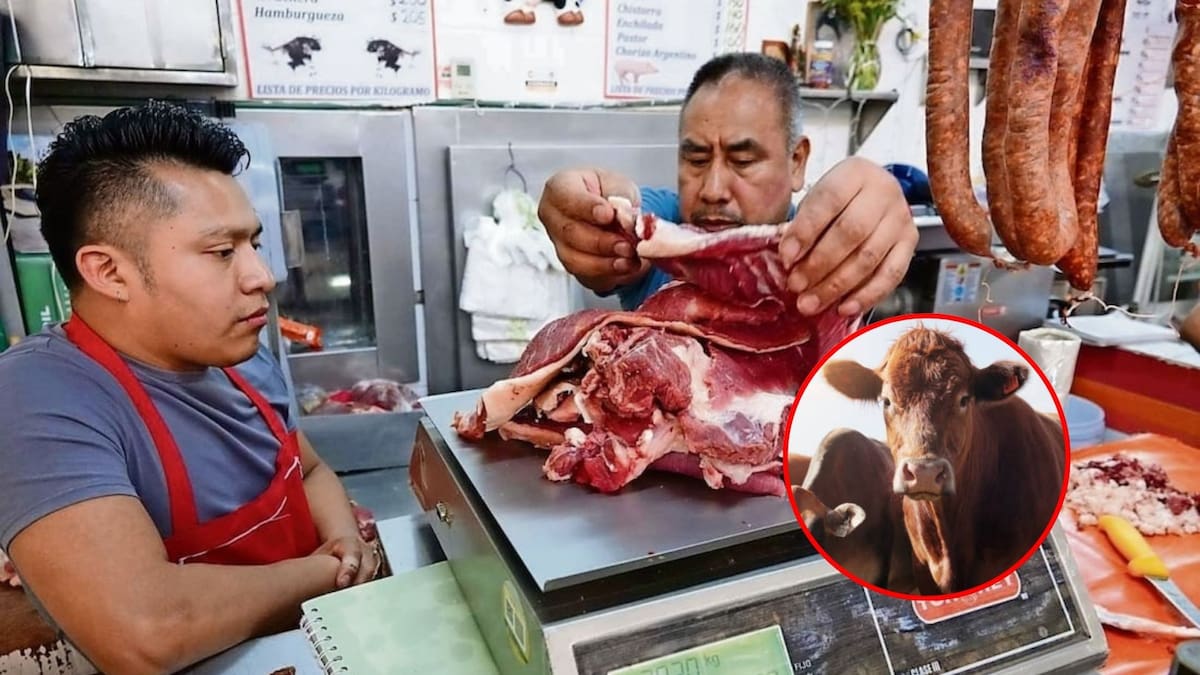 Exceso de carne en México por importaciones innecesarias amenazaría al sector ganadero: la CNOG asegura que el país tendrá abasto suficiente en 2026 y advierte que seguir comprando carne de Brasil podría desplomar precios y afectar a más de 750 mil pequeños productores